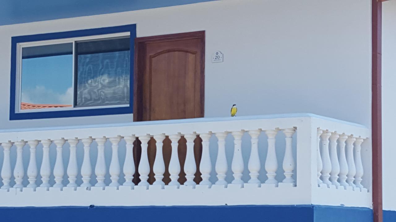 Hotel Grosseto Palma Real Loma ภายนอก รูปภาพ